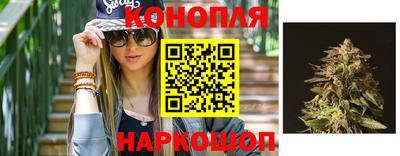 твердый Будённовск