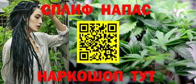 шишки Бузулук