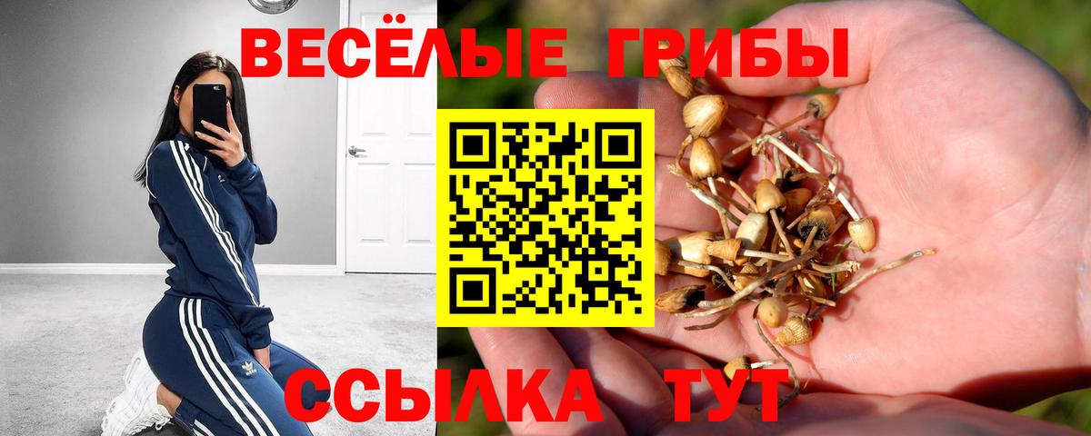 Галлюциногенные грибы прущие грибы Кубинка